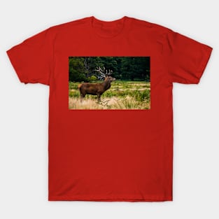 Wild life design T-Shirt